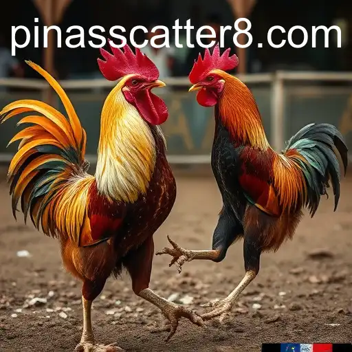 Exploring the Complex World of Cockfighting and Its Cultural Significance